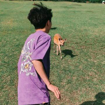 Sunny